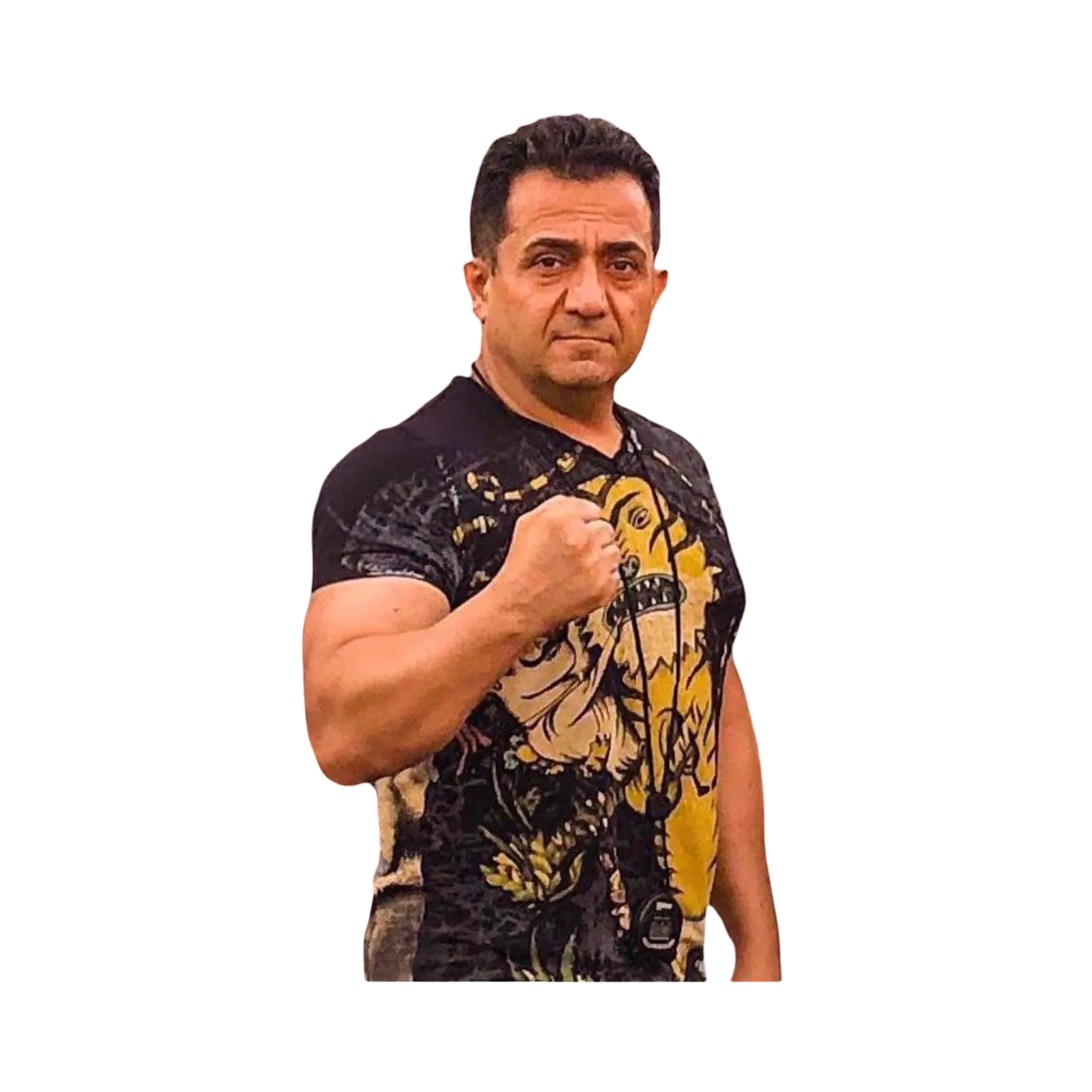 Amir Ardebily